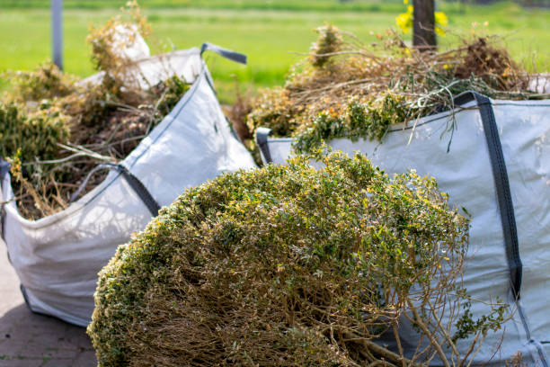 Best Furniture Removal  in Silver Springs, NV